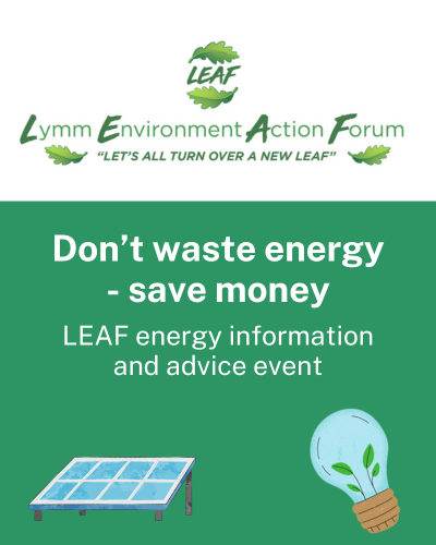 LEAF don't waste energy event